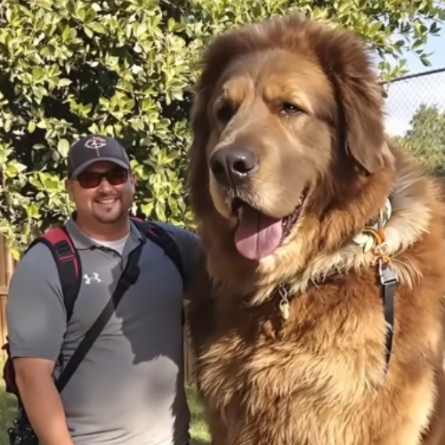 Giga Bigs Dog Image 1